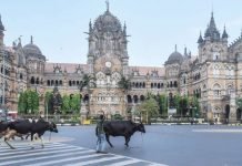 महाराष्ट्र में कोरोना का कहर: राज्य में 1 मई तक लॉकडाउन महाराष्ट्र में कोरोना महामारी