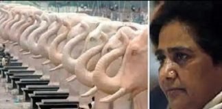 मायावती सरकार में हुए स्मारक घोटाले में बड़ी कार्रवाई, 4 अफसर गिरफ्तार मूर्ती घोटाला जांच