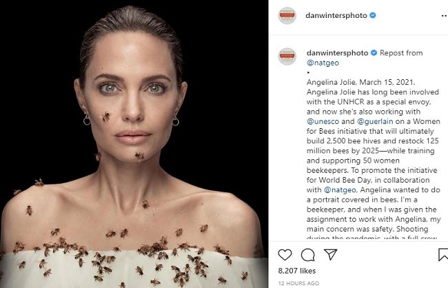 angelina jolie letest photoshoot