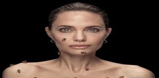 angelina jolie letest photoshoot