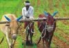 भारतीय किसान मोर्चा