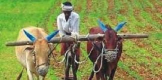 भारतीय किसान मोर्चा
