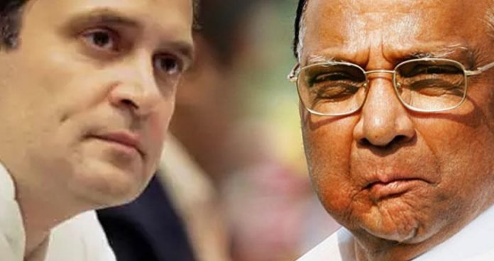 राहुल गांधी शरद पवार