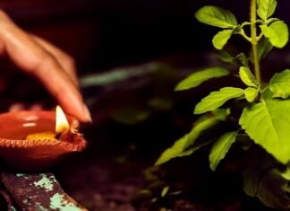 तुलसी माता को सिंदूर लगाना चाहिए या नहीं? जानें तुलसी माता की पूजा विधि तुलसी को सिंदूर लगाना